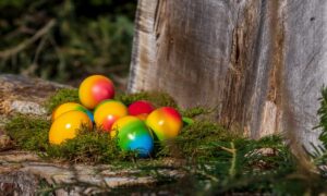 Oster-Tragödie in Deutschland: Baum stürzt bei der traditionellen Ostereierjagd – drei Menschen tot