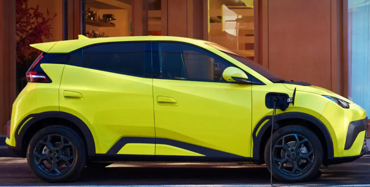 La Byd Dolphin Surf