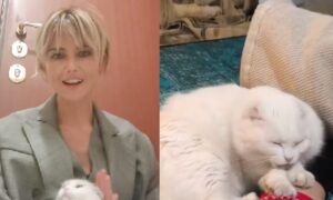 Der Husten war Warnsignal einer schweren Erkrankung – Francesca Fialdini erinnert sich an den Abschied von ihrer geliebten Katze Myra