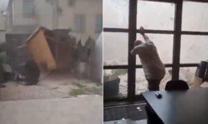 Schweres Unwetter: Tornado verwüstet eine Gemeinde in Frankreich – 41 Verletzte, 300 Häuser beschädigt