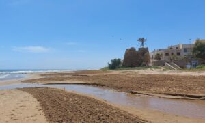 Deutsches Paar kauft Haus am Meer auf Sizilien – 80.000 Euro gekostet, am Ende 300.000 Euro ausgegeben, jetzt glücklich