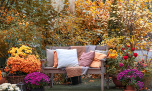 Die Terrasse im Herbst ist schöner als im Sommer: So verwandeln Sie sie