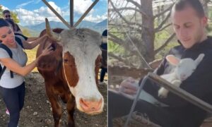 Ich habe meinen Geburtstag in einem Tierparadies gefeiert – ihr solltet auch dort hingehen