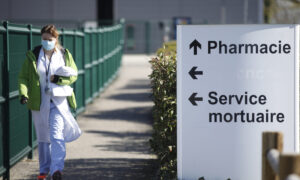 Shamonda-Virus infiziert erstmals einen Mann in Frankreich
