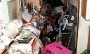 Vermiete dein Haus an eine Frau: Sie zahlt nicht und zerstört alles – 5.000 Euro verloren, 450 kg Müll und zwei Katzen ausgesetzt