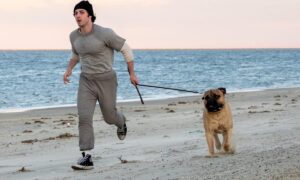 „Rocky bin ich“ erinnert uns daran, wie das Kino damals war.
